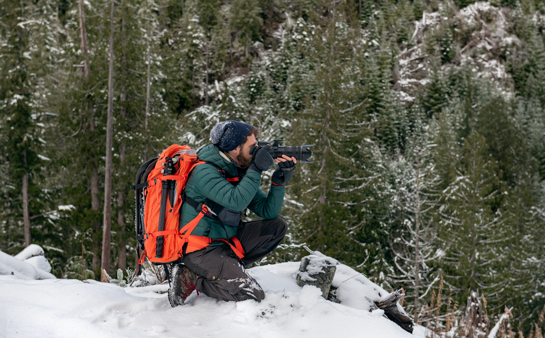 How to Blend In While Taking Photos of Wildlife