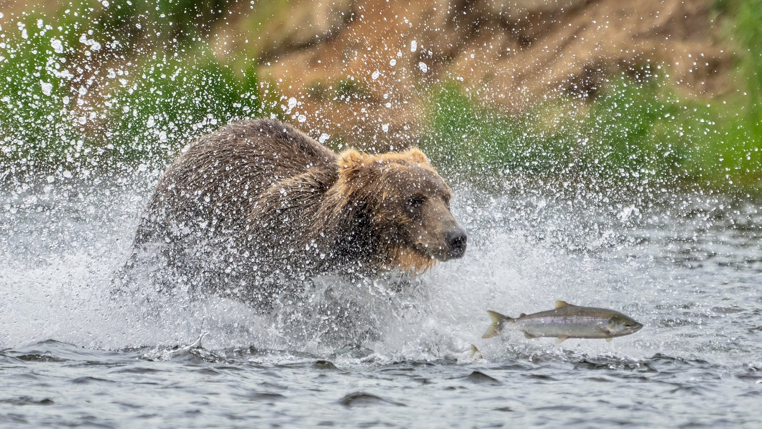 Storytelling Through Nature Photography